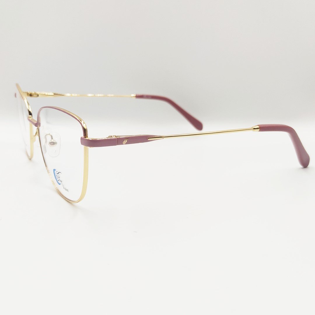 fv 1043 Free Vision - Imagen 2